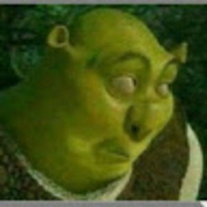 Meet your Posher, Dania